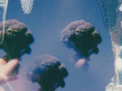 Film og fortælling mad og smag. Fotokreditering: Lisa from Pexels